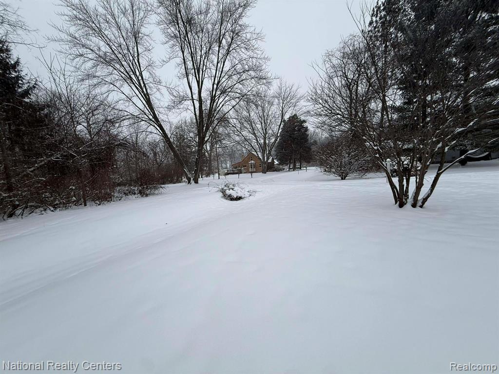 27125 Delos Road, New Boston, MI 48164 — Photo 16