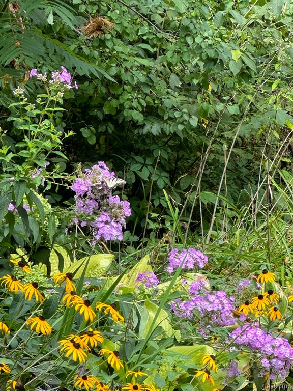 1827 HIGH HOLLOW Drive, Ann Arbor, MI 48103 — Photo 82