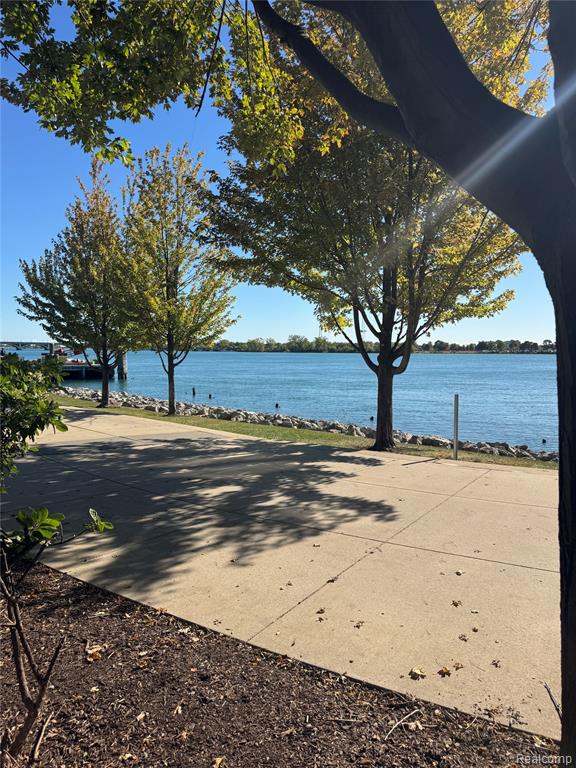 250 E Harbortown Drive, 905, Detroit, MI 48207 — Photo 37