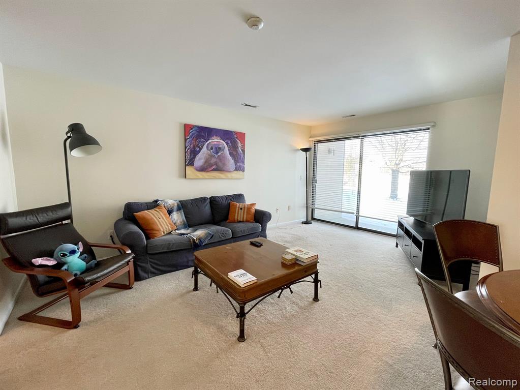 42738 LILLEY POINTE Drive, 201, Canton, MI 48187 — Photo 7