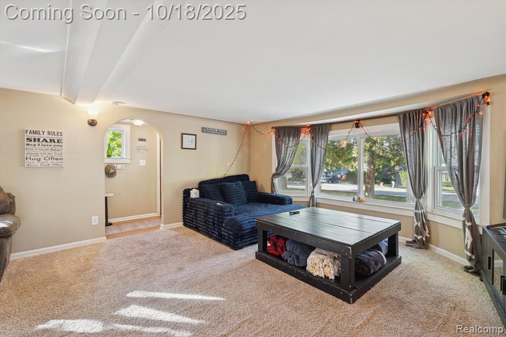 802 Tickner Street, Linden, MI 48451 — Photo 8