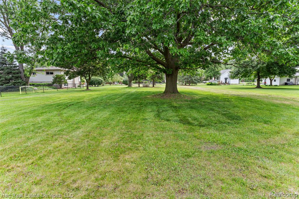 9013 Canton Center Rd, Plymouth, MI 48170 — Photo 8