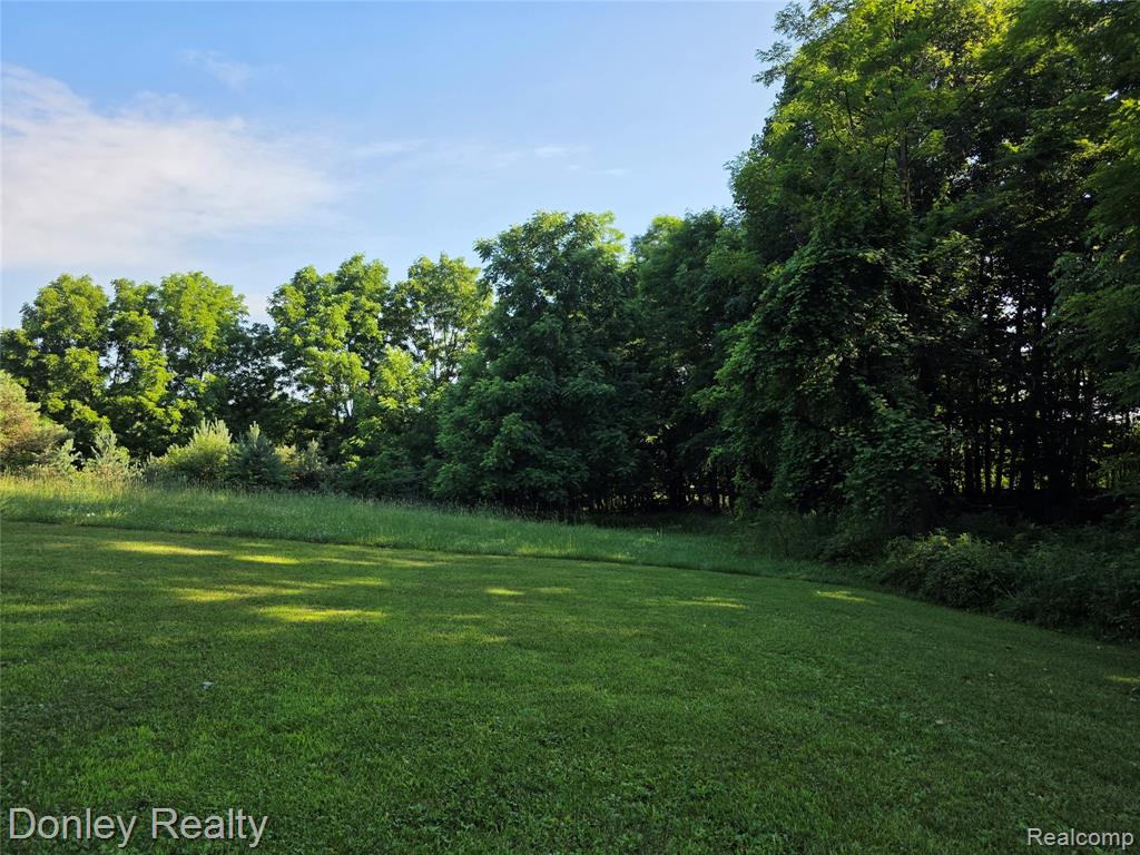 7311 Arendt Road, Melvin, MI 48454 — Photo 33