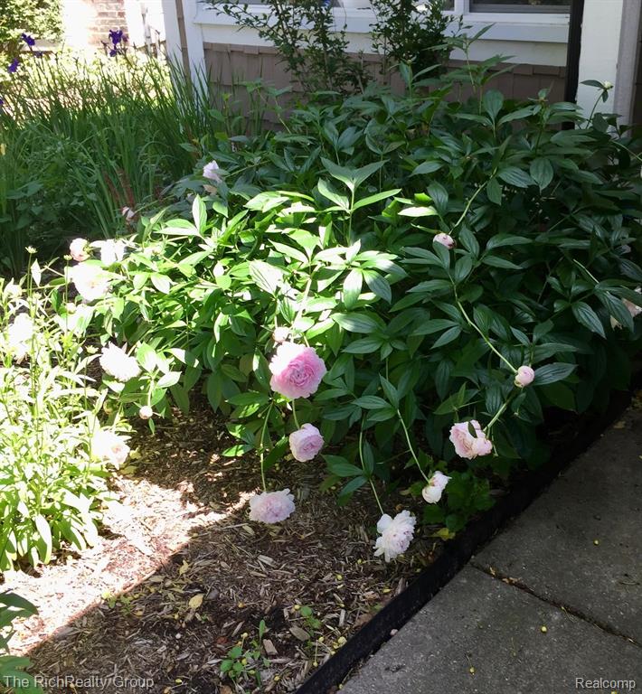 415 Sommerset Court, Ann Arbor, MI 48103 — Photo 40
