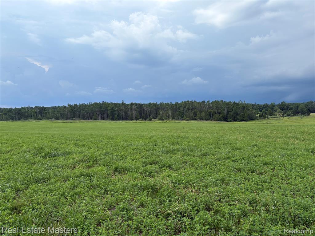 300 W Hubert Road, Spruce, MI — Photo 15