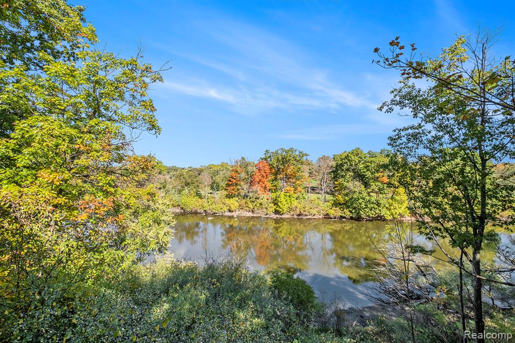 7372 River Road, Flushing, MI 48433 — Photo 25