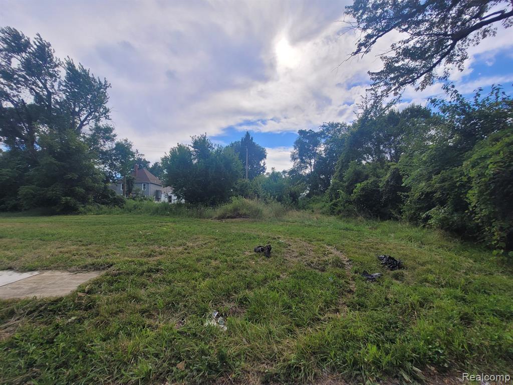 3443 BEALS Street, Detroit, MI 48214 — Photo 12