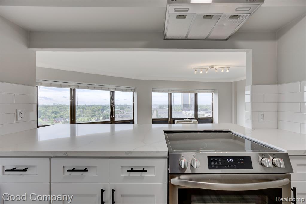 5000 TOWN Center, 1104, Southfield, MI 48075 — Photo 24