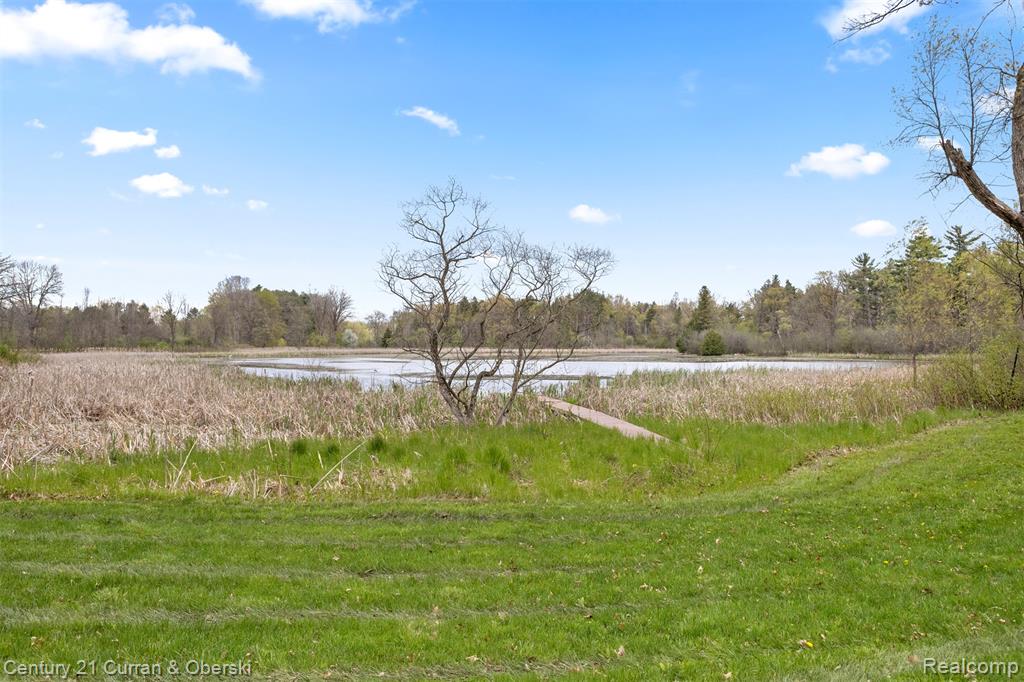 10459 Hyne Road, Brighton, MI 48114 — Photo 62