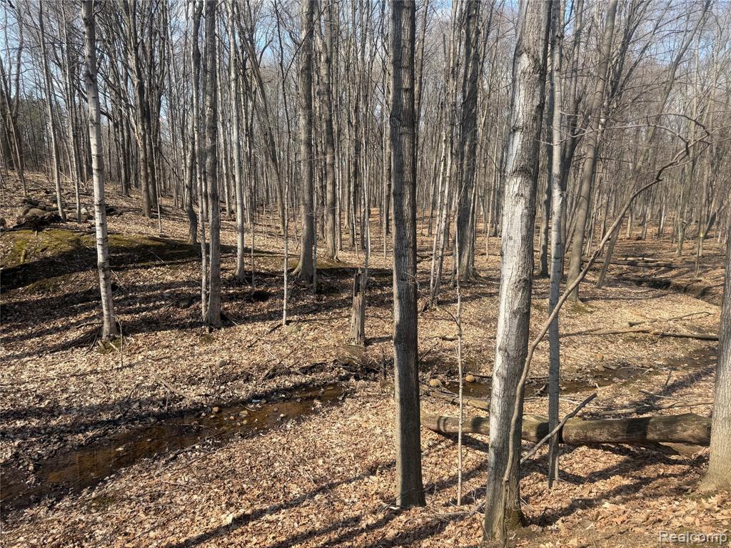 V/L Fulton, Mayville Vlg, MI 48744 — Photo 22
