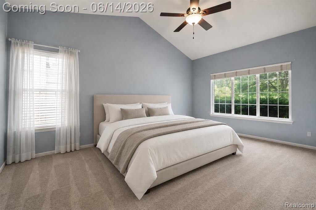 47920 Vistas Circle Drive N, Canton, MI 48188 — Photo 10