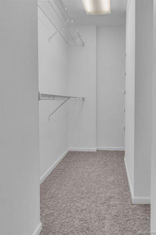 5000 PARK Road, Ann Arbor, MI 48103 — Photo 35