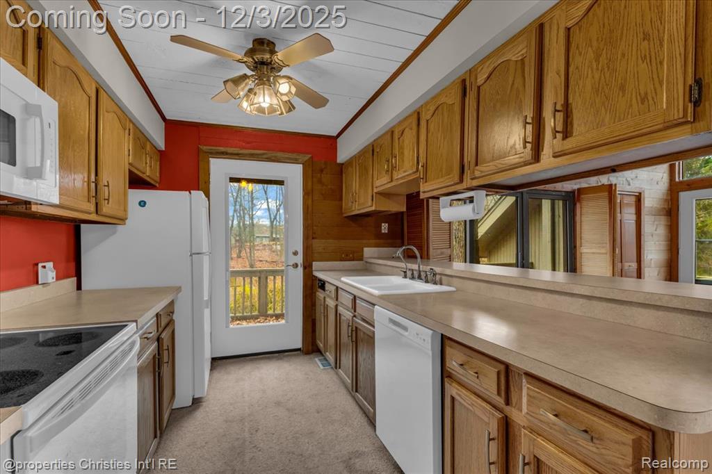 13095 Woodland Trail, Davisburg, MI 48350 — Photo 10