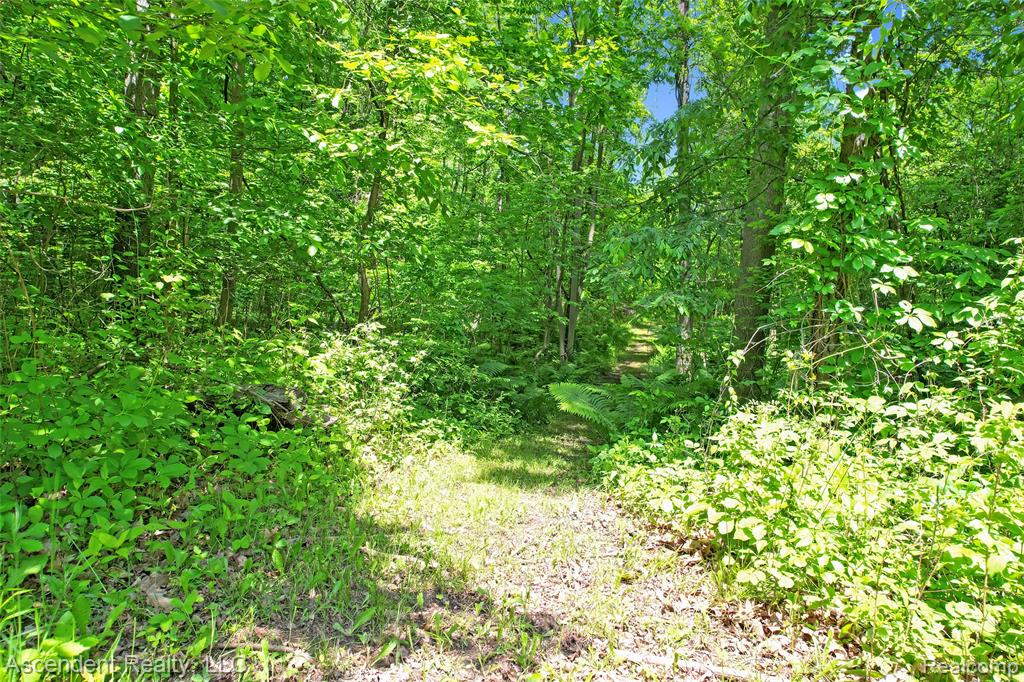 5735 Belle River Road, Imlay City, MI 48412 — Photo 12