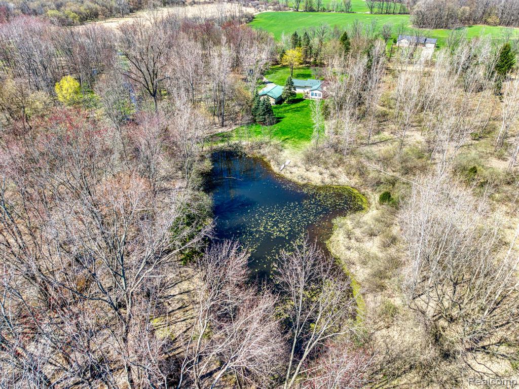 9333 W COON LAKE Road, Gregory, MI 48137 — Photo 33