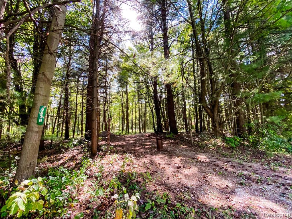 6639 DOVE Road, Kimball, MI — Photo 3