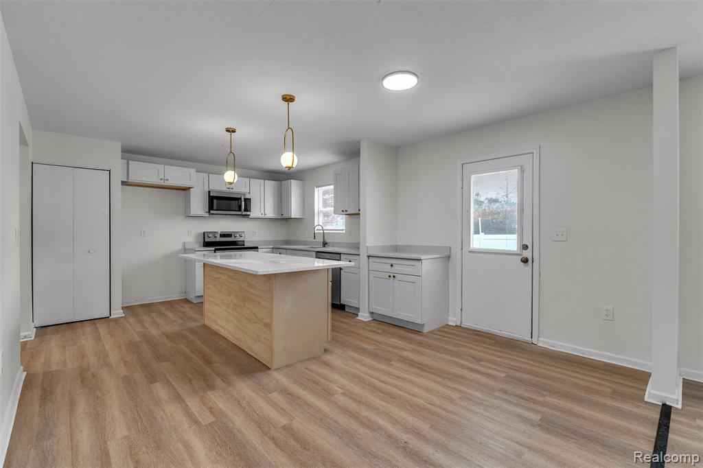 8553 Shiawassee River Drive, Fowlerville, MI 48836 — Photo 10