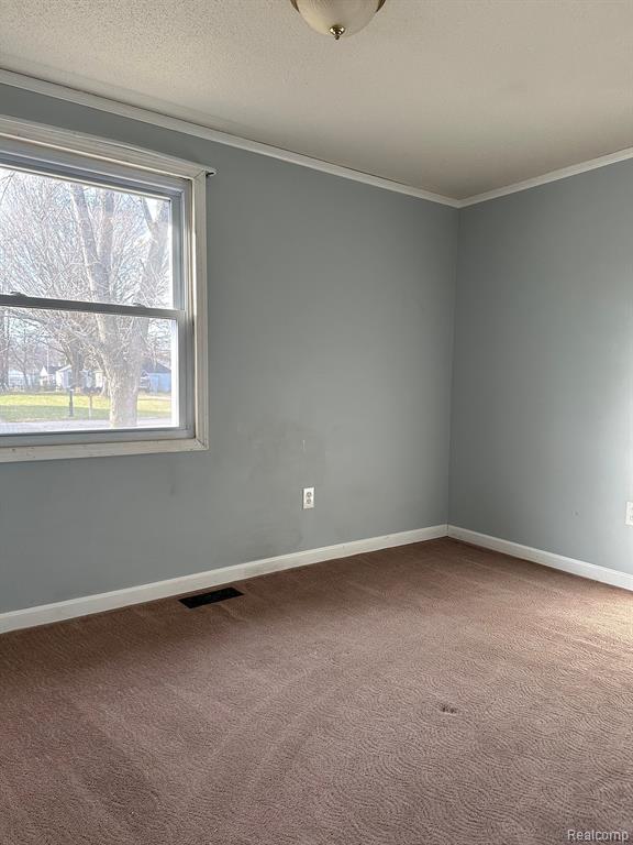 6231 2ND Street, Mayville Vlg, MI 48744 — Photo 28
