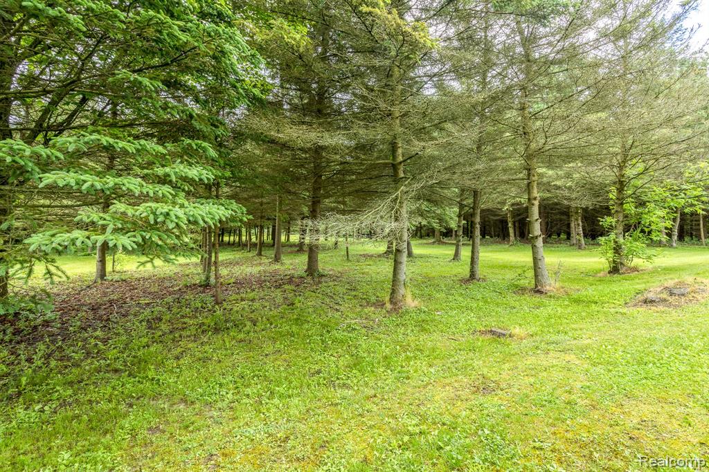 7571 BROCKWAY Road, Melvin, MI 48454 — Photo 29