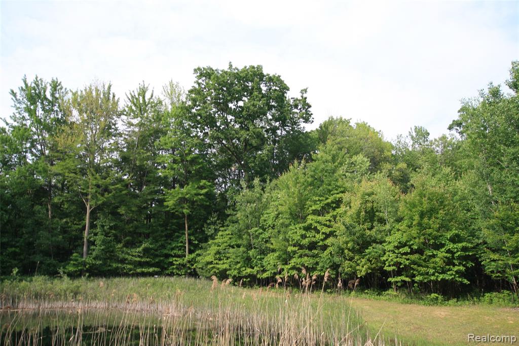 12850 East Road, Burt, MI 48417 — Photo 14