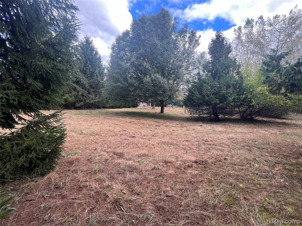2988 W Snover Road, Mayville Vlg, MI 48744 — Photo 4