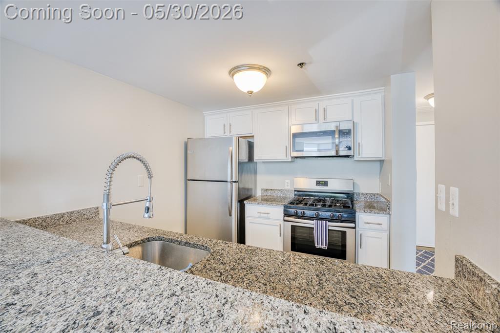 250 E Harbortown Drive, 205, Detroit, MI 48207 — Photo 19