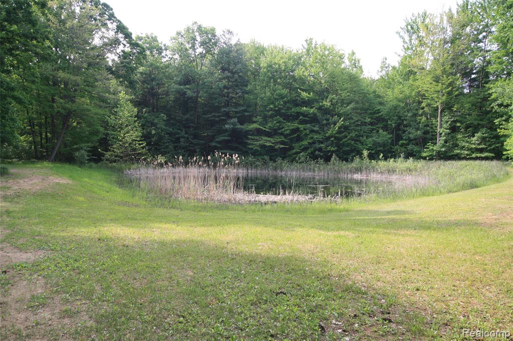 12850 East Road, Burt, MI 48417 — Photo 11