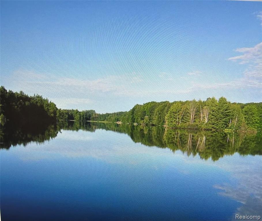 3805 Lee Hill Road, Mayville Vlg, MI 48744 — Photo 9