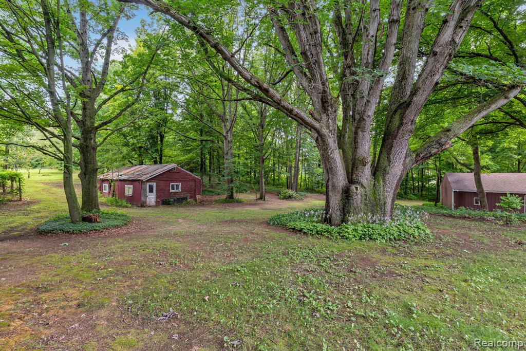 8188 BIRCH RUN Road, Millington, MI 48746 — Photo 33