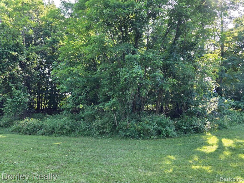 7311 Arendt Road, Melvin, MI 48454 — Photo 32