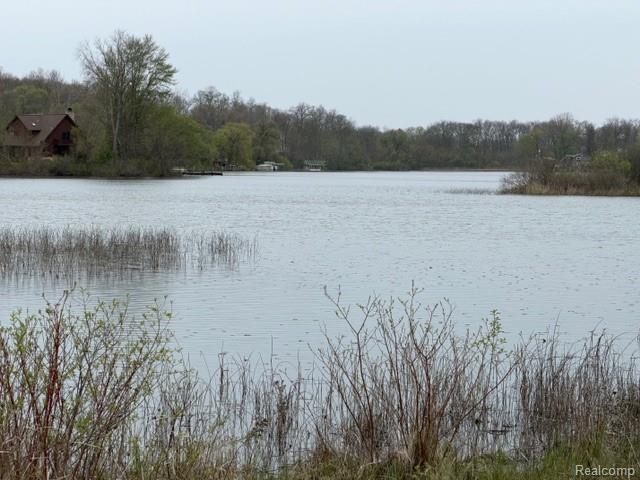 1983 Maxfield Road, Hartland, MI 48353 — Photo 9