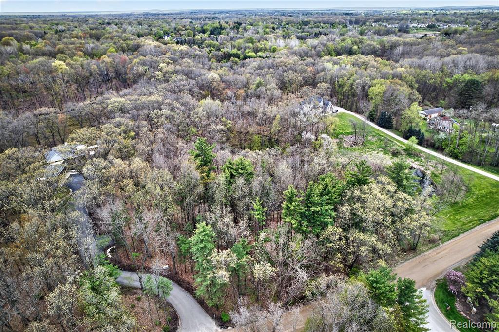 6944 Cooley Lake Road, White Lake, MI 48383 — Photo 4