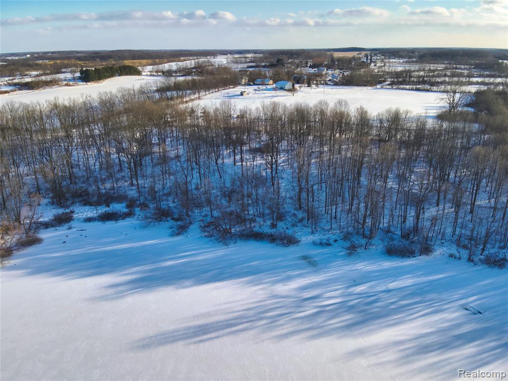 v/l W Us-12 Highway, Manchester, MI 48158 — Photo 19