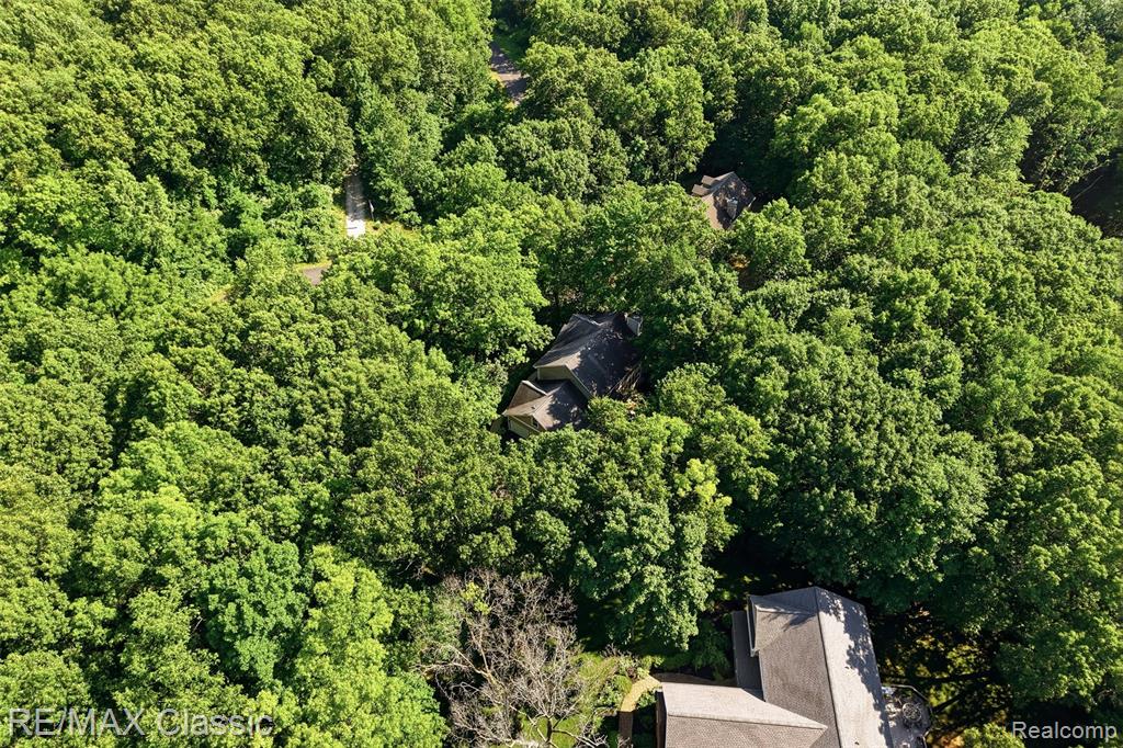 6303 Ridge Hollow Lane, Davisburg, MI 48350 — Photo 58