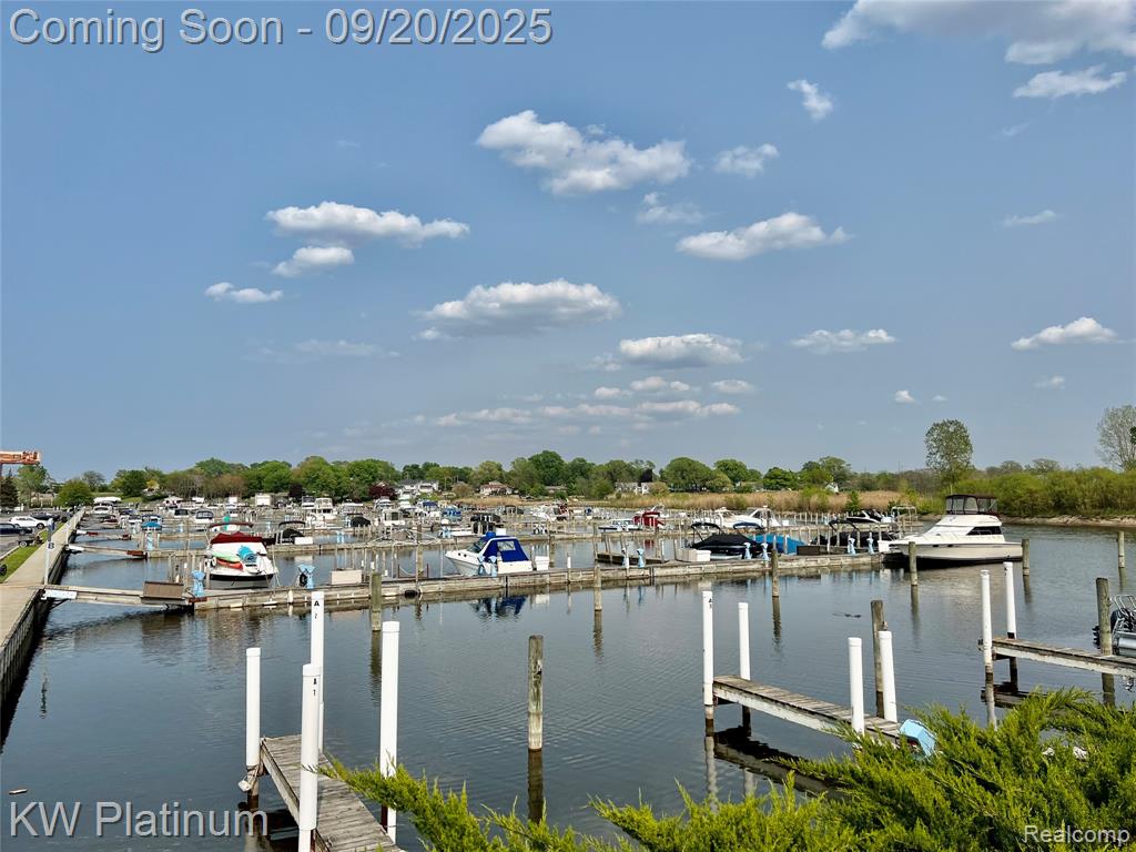 3551 STRAWBERRY Lane, Port Huron, MI 48060 — Photo 41