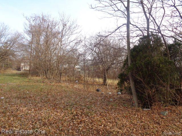 3806 BELVIDERE Street, Detroit, MI 48214 — Photo 2