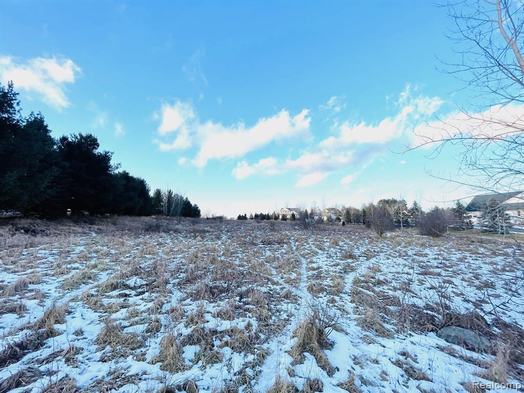 Lot 6 Sleeping Meadow, Mason, MI 48854 — Photo 7