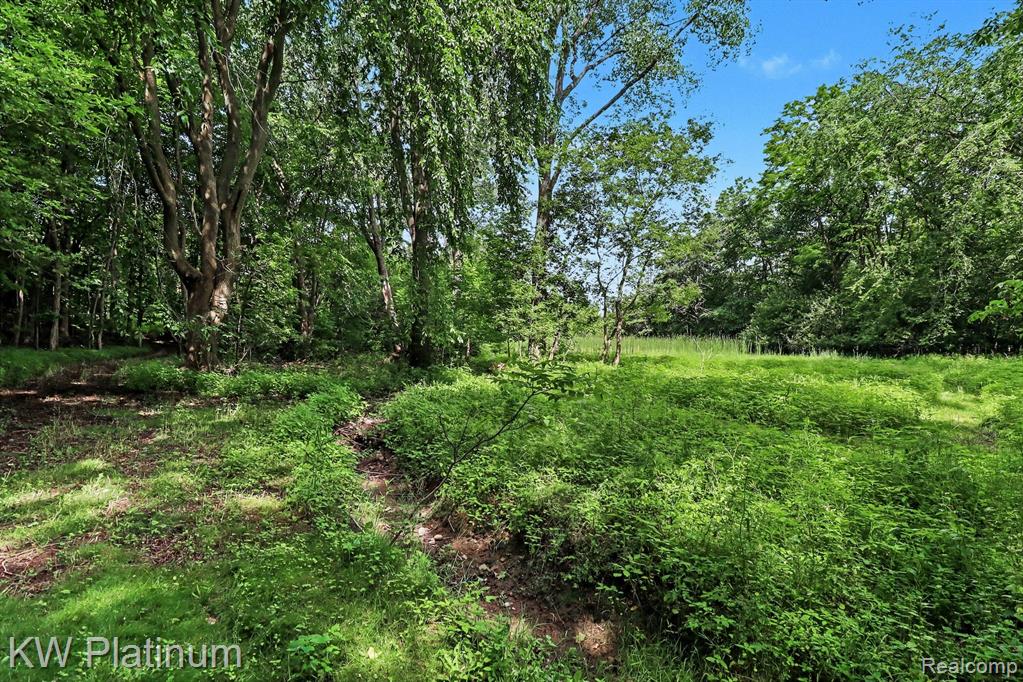 5918 Jeddo Road, MI 48032 — Photo 29
