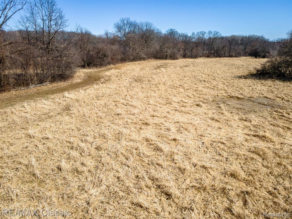 Vacant Spencer Road, South Lyon, MI 48178 — Photo 8