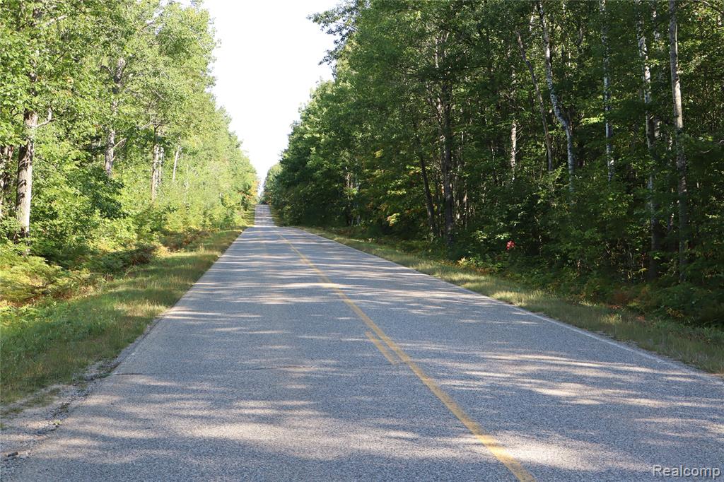 Lot D W Pendills Lake Road, Brimley, MI 49715 — Photo 54