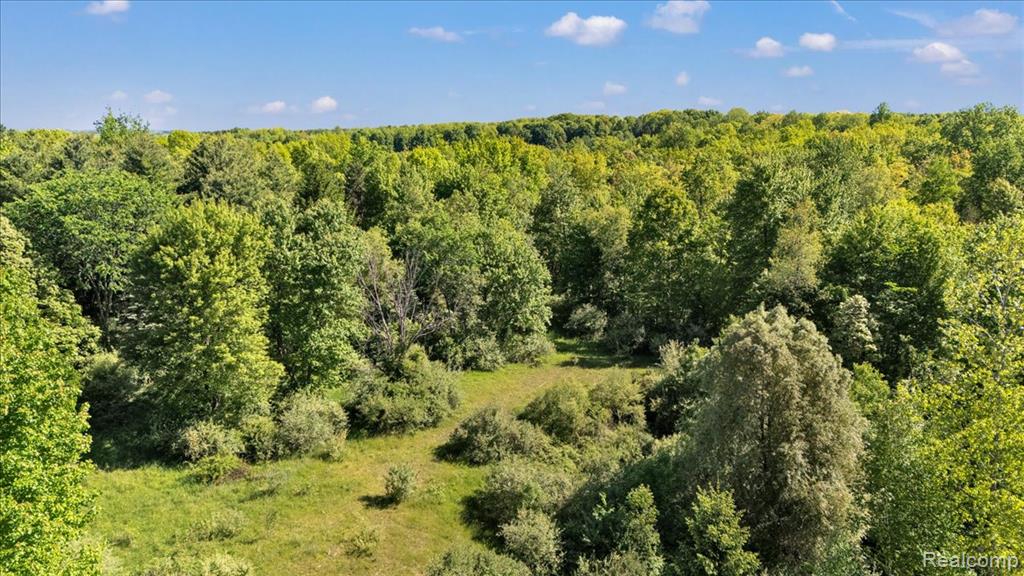 6250 Stine Road, Imlay City, MI 48444 — Photo 63