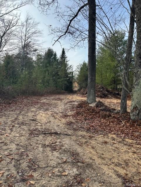 VL W AuSable Point Road, Oscoda, MI 48750 — Photo 14