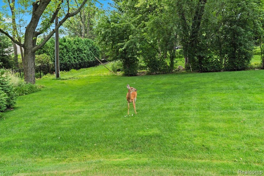7299 OLD MILL Road, Bloomfield Hills, MI 48301 — Photo 49