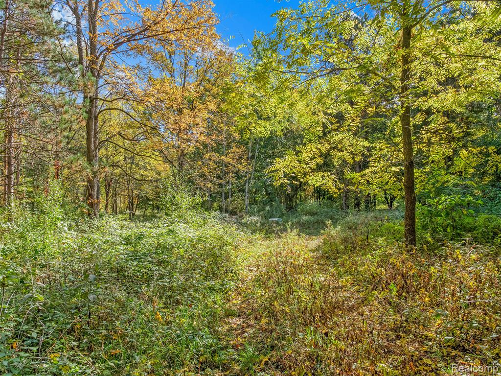 4695 Waterwood Way, Howell, MI 48855 — Photo 20
