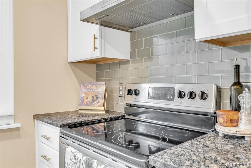2003 Audubon Drive, Ann Arbor, MI 48103 — Photo 4