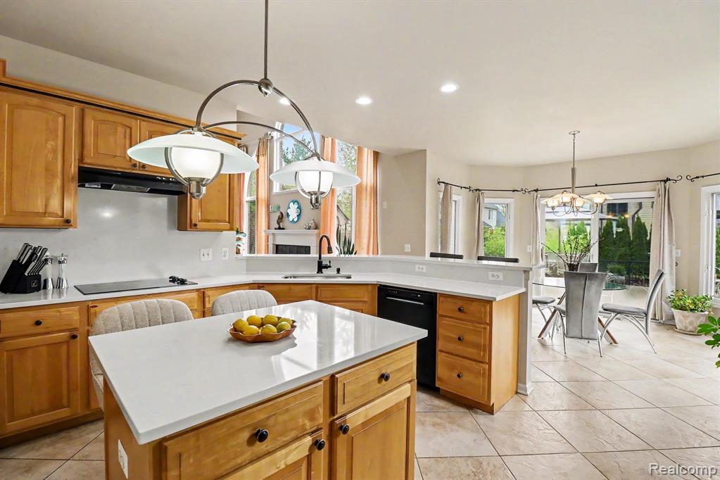 55397 Apple Lane, Shelby Twp, MI 48316 — Photo 15