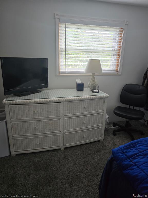 5938 Avalon Circle, Lexington, MI 48450 — Photo 14