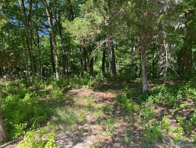Lot 5 Dollar Ridge Lane, South Lyon, MI 48178 — Photo 6