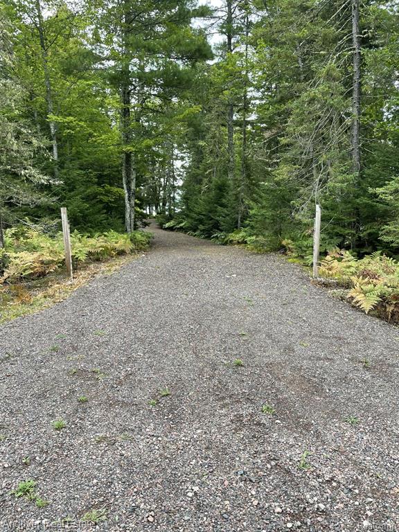 Lot# 11 Western, MI — Photo 2