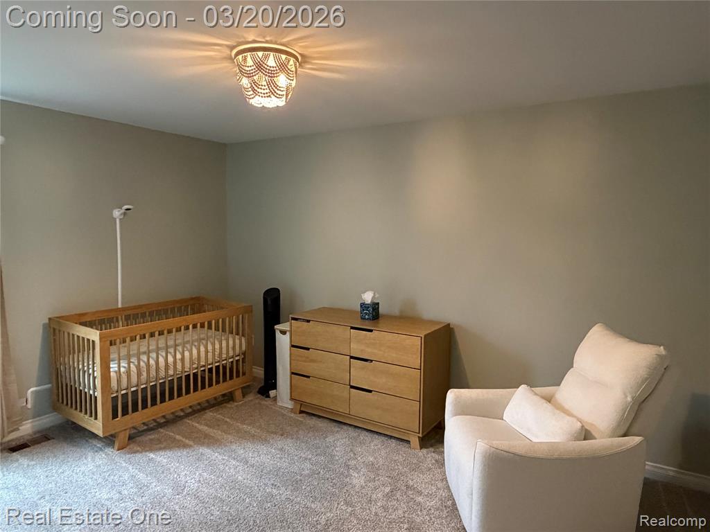 58206 Sunflower Circle N, New Hudson, MI 48165 — Photo 24
